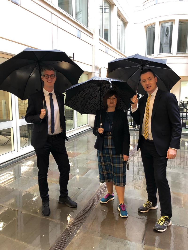 people holding umbrellas