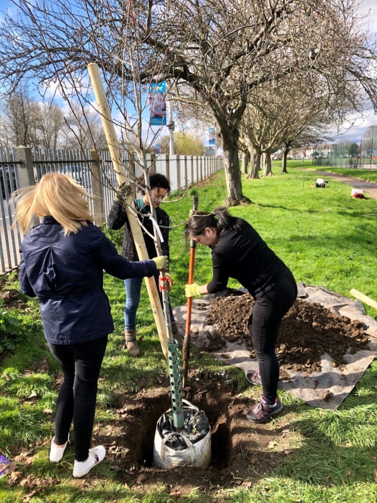 three women planting a tree
