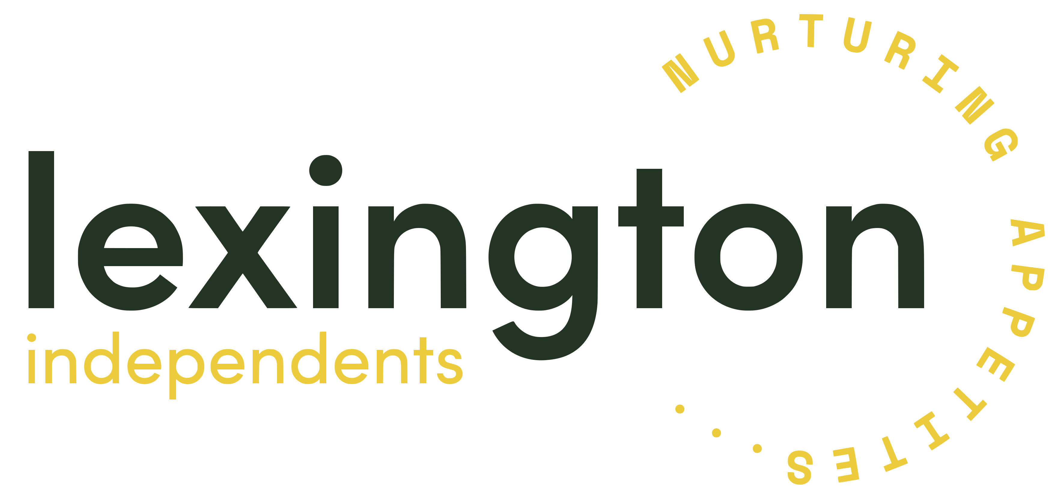 lexington independents logo